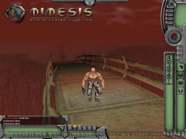 Game cover: Mimesis Online