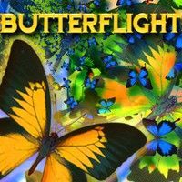 Game cover: ButterFlight