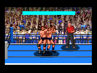 Game cover: Royal Pro Wrestling: Jikkyō Live!!