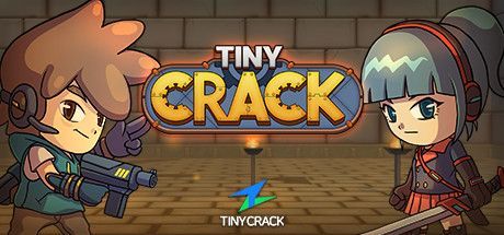 Game cover: TinyCrack