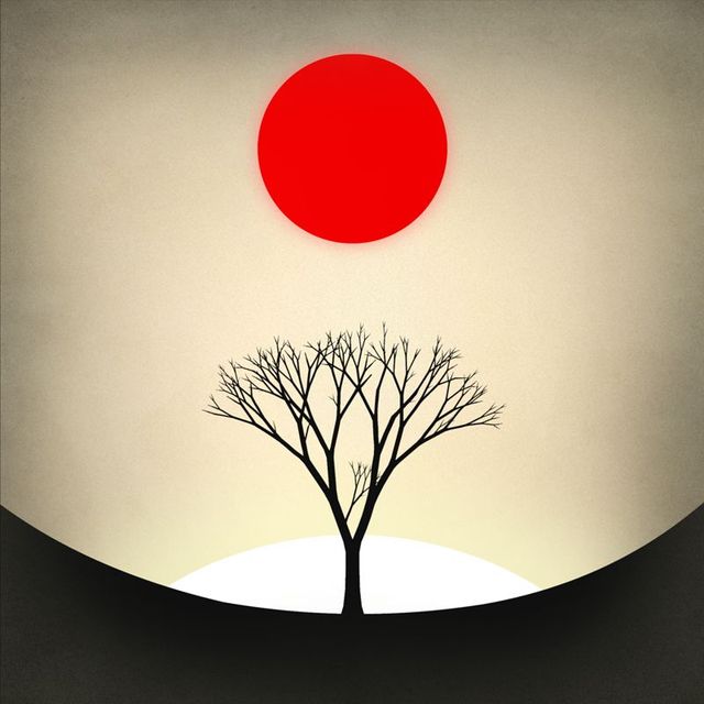 Game cover: Prune