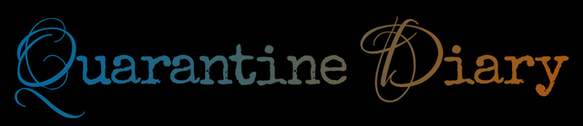 Game cover: Quarantine Diary