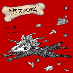 Game cover: Rodem the Wild