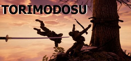 Game cover: Torimodosu