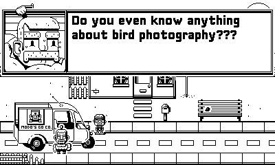 Game cover: Casual Birder