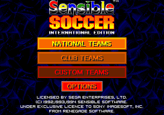 Game cover: Championship Soccer '94