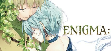 Game cover: Enigma: