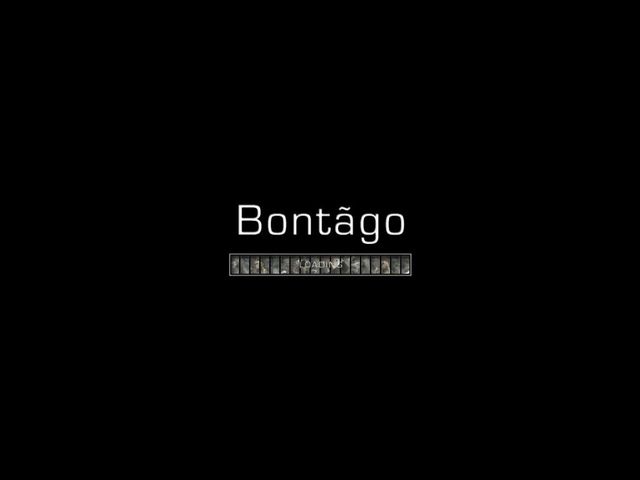 Game cover: Bontãgo