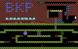 Game cover: Burglar