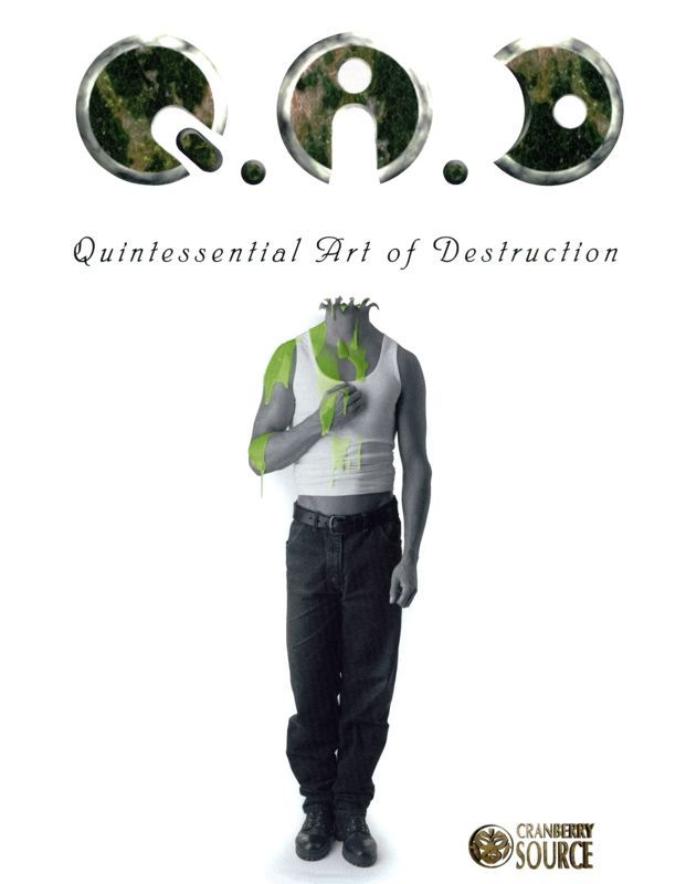 Game cover: Q.A.D: Quintessential Art of Destruction
