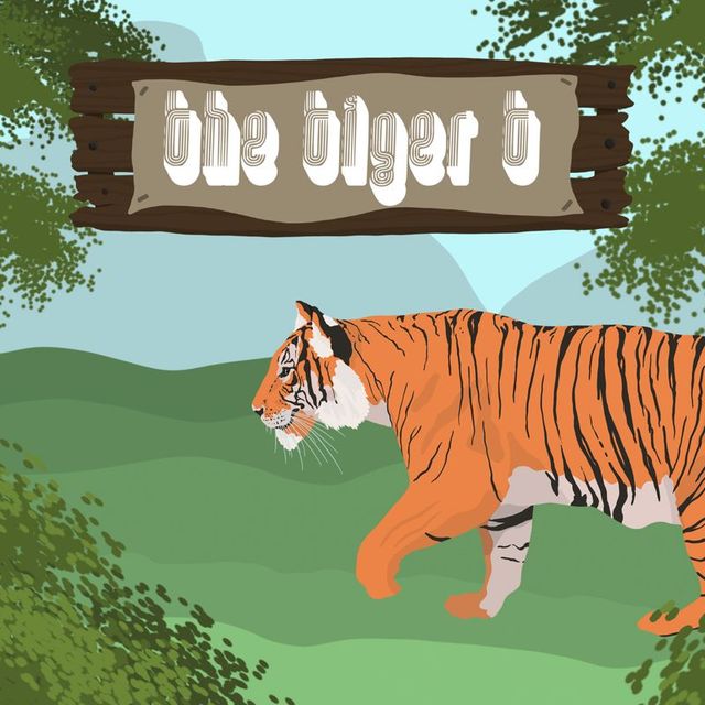 Game cover: Tiger T,  The
