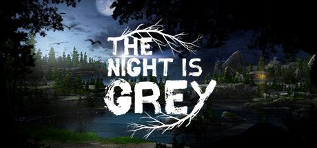 Game cover: The Night Is Grey