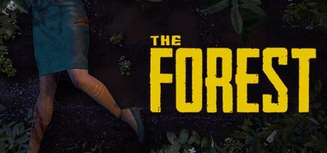 Game cover: The Forest