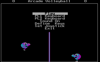 Game cover: Arcade Volleyball