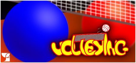 Game cover: Volleying