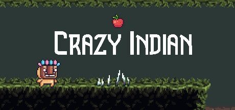 Game cover: Crazy Indian