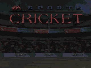 Game cover: Cricket 96