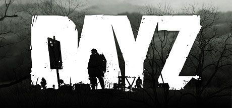 Game cover: DayZ