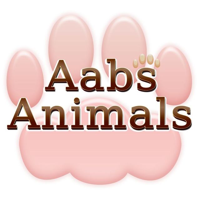 Game cover: Aabs Animals