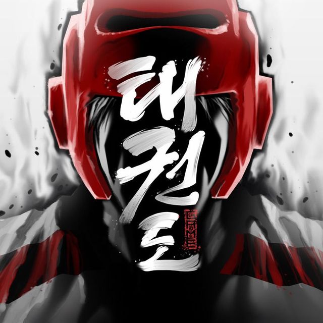 Game cover: Taekwondo: Global Tournament