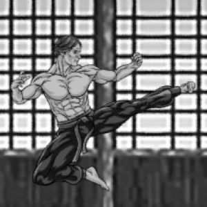 Game cover: Kung Fu Arcade