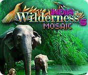 Game cover: Wilderness Mosaic 5: India