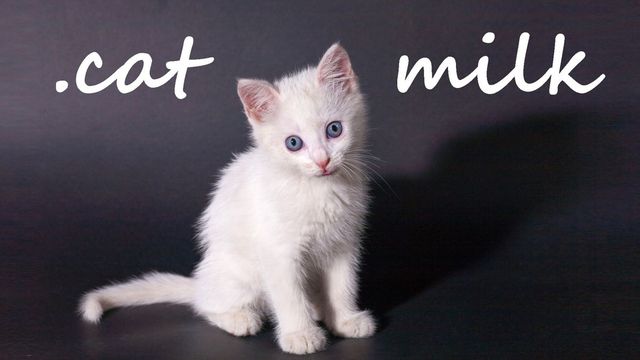 Game cover: .cat Milk