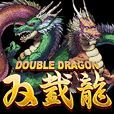 Game cover: Double Dragon