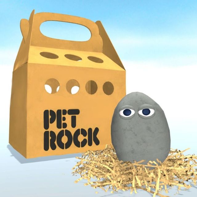 Game cover: Pet Rock