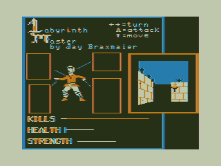 Game cover: Labyrinth Master