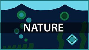 Game cover: Color Zen: Nature