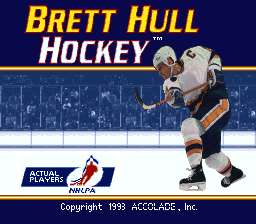 Game cover: Brett Hull Hockey