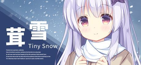Game cover: Tiny Snow