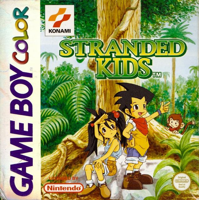 Game cover: Survival Kids