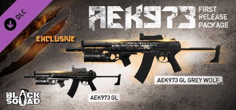 Game cover: Black Squad: AEK973 First Release Package