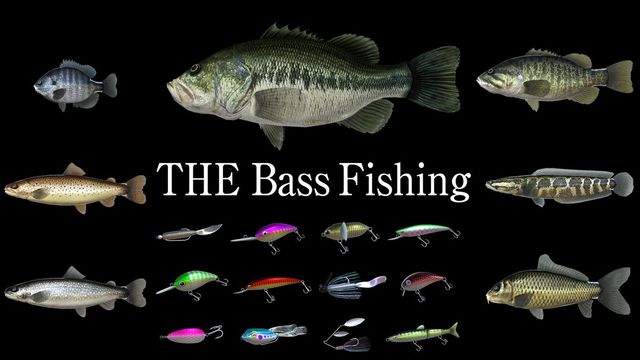 Game cover: THE Bass Fishing