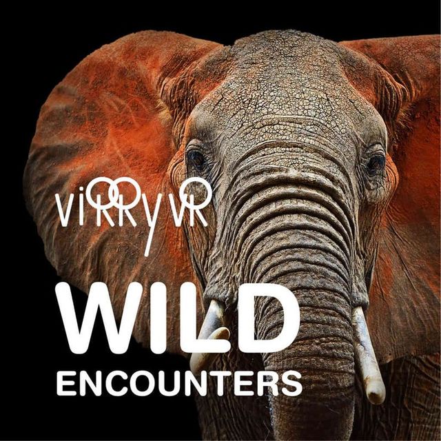Game cover: Virry VR: Wild Encounters