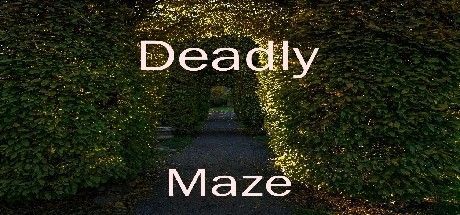 Game cover: Deadly Maze