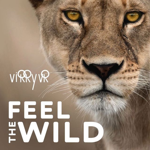 Game cover: Virry VR: Feel the Wild