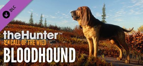 Game cover: theHunter: Call of the Wild - Bloodhound