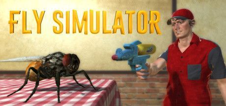 Game cover: Fly Simulator