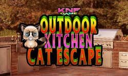 Game cover: Outdoor Kitchen Cat Escape