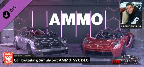 Game cover: Car Detailing Simulator: AMMO NYC