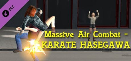 Game cover: Massive Air Combat: Karate Hasegawa