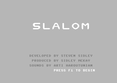 Game cover: Slalom!