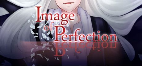 Game cover: Image of Perfection