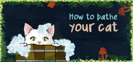 Game cover: How to Bathe Your Cat