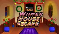 Game cover: New Winter House Escape
