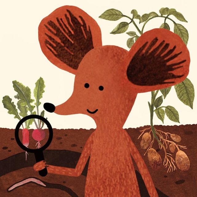 Game cover: Little Mouse's Encyclopedia