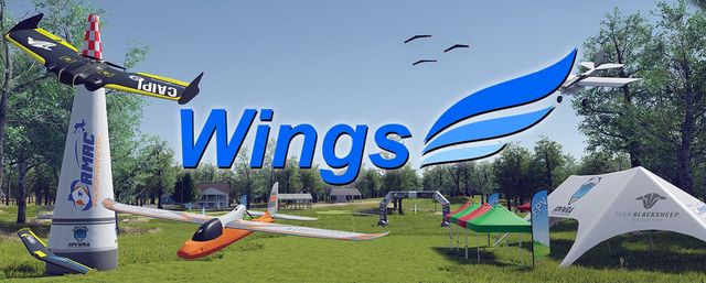 Game cover: Wings Simulator